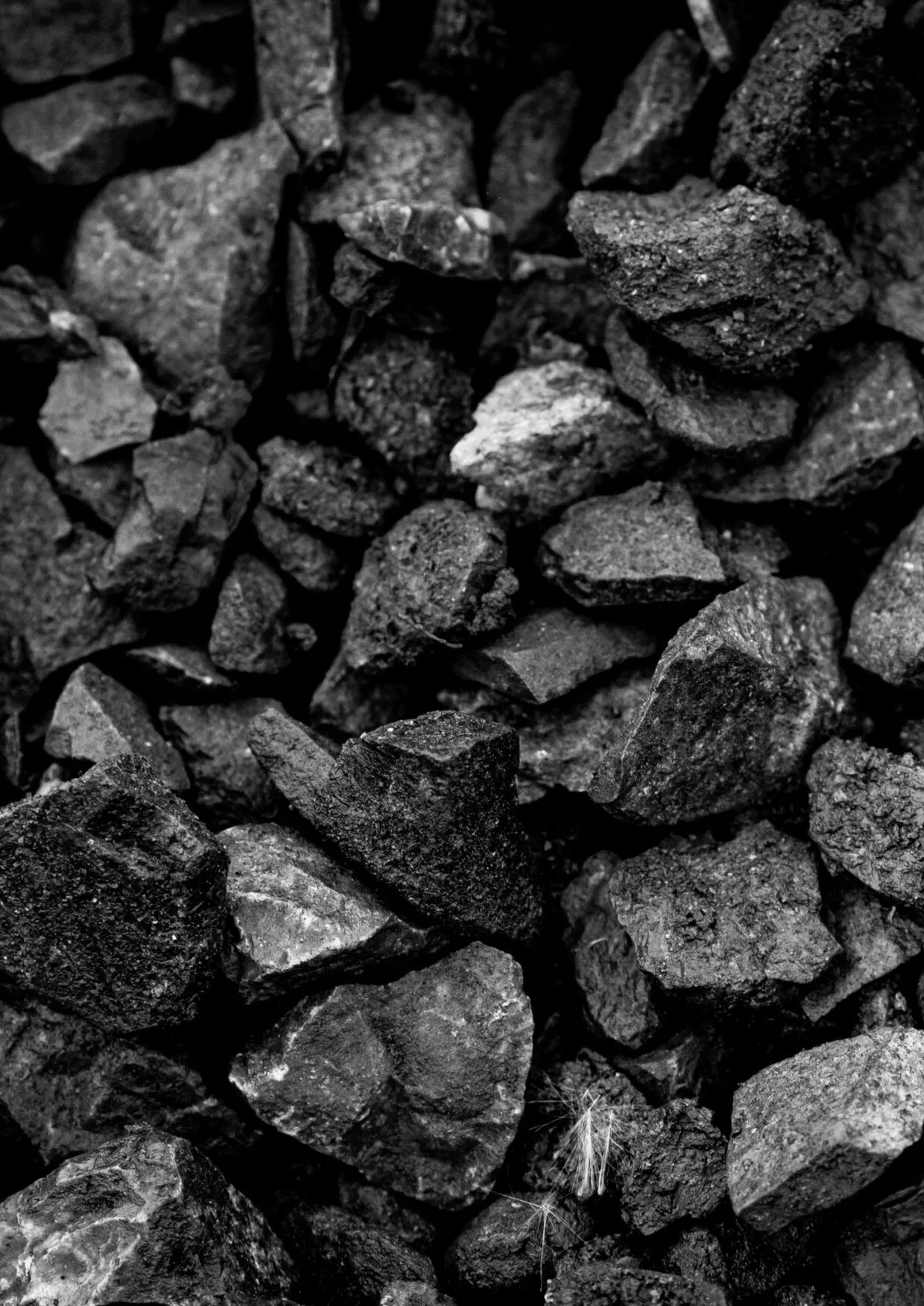Clean carbon recovered from feedstock.
