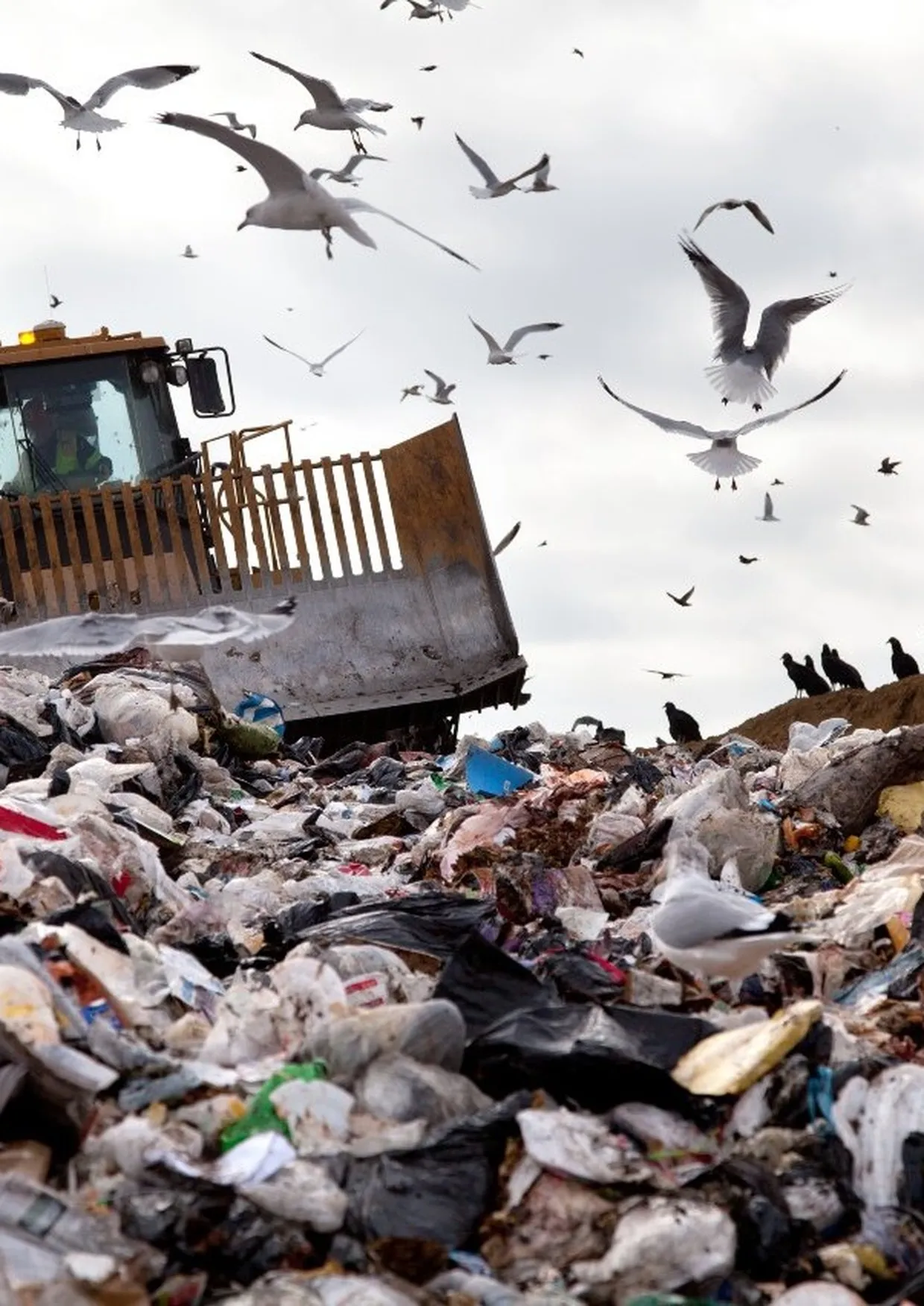 Municipal solid waste staged for sorting and processing.