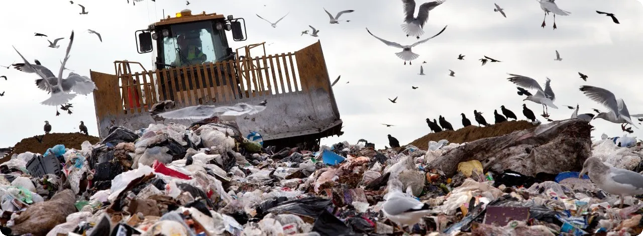 Municipal solid waste staged for sorting and processing.